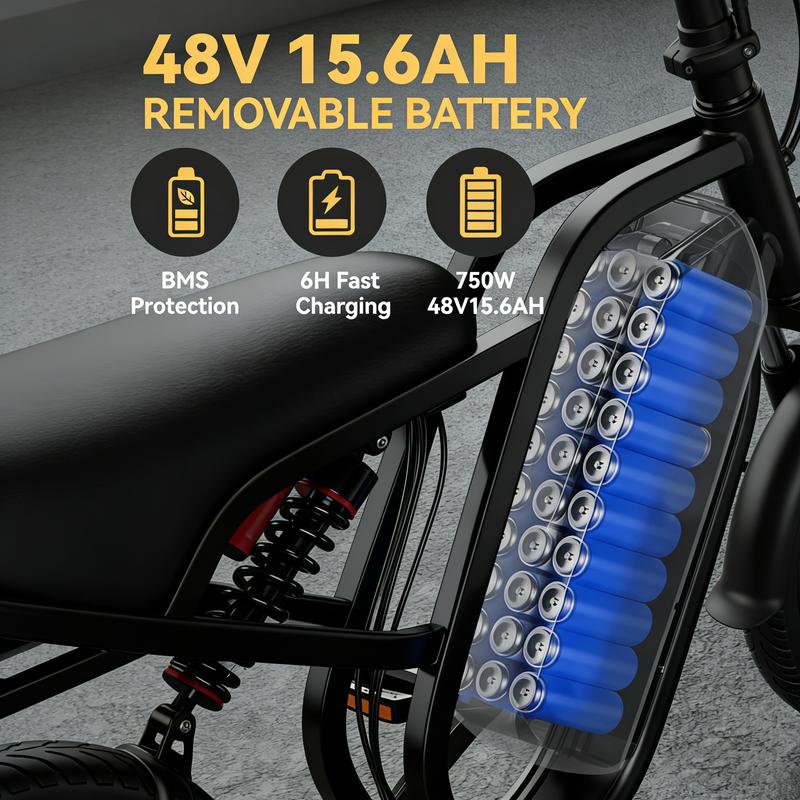 48V 15.6Ah Removable Battery