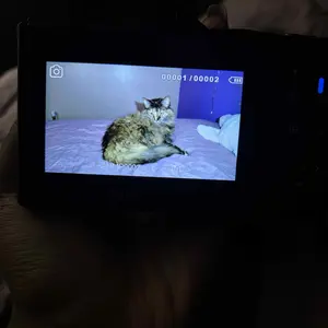 Photo from A**m